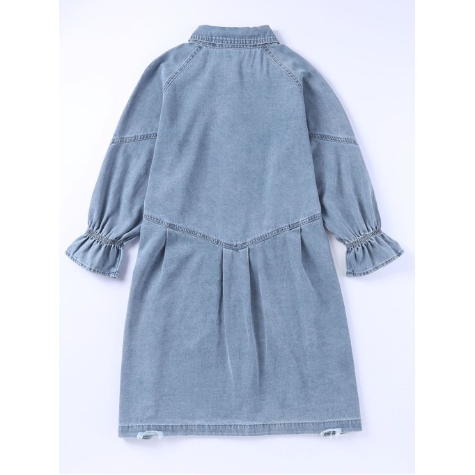 Sky Blue Buttoned Long Sleeve Denim Mini Dress